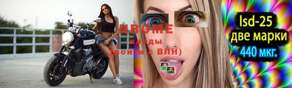 прущие грибы Надым