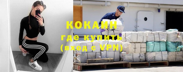 прущие грибы Надым