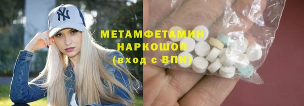 прущие грибы Надым