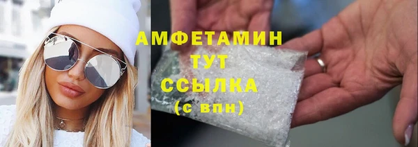 прущие грибы Надым