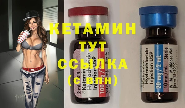 прущие грибы Надым