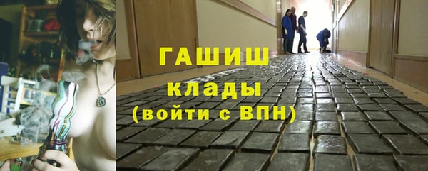 прущие грибы Надым