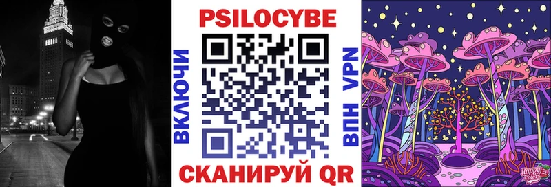 Псилоцибиновые грибы Psilocybine cubensis  магазин  наркотиков  Новая Усмань 